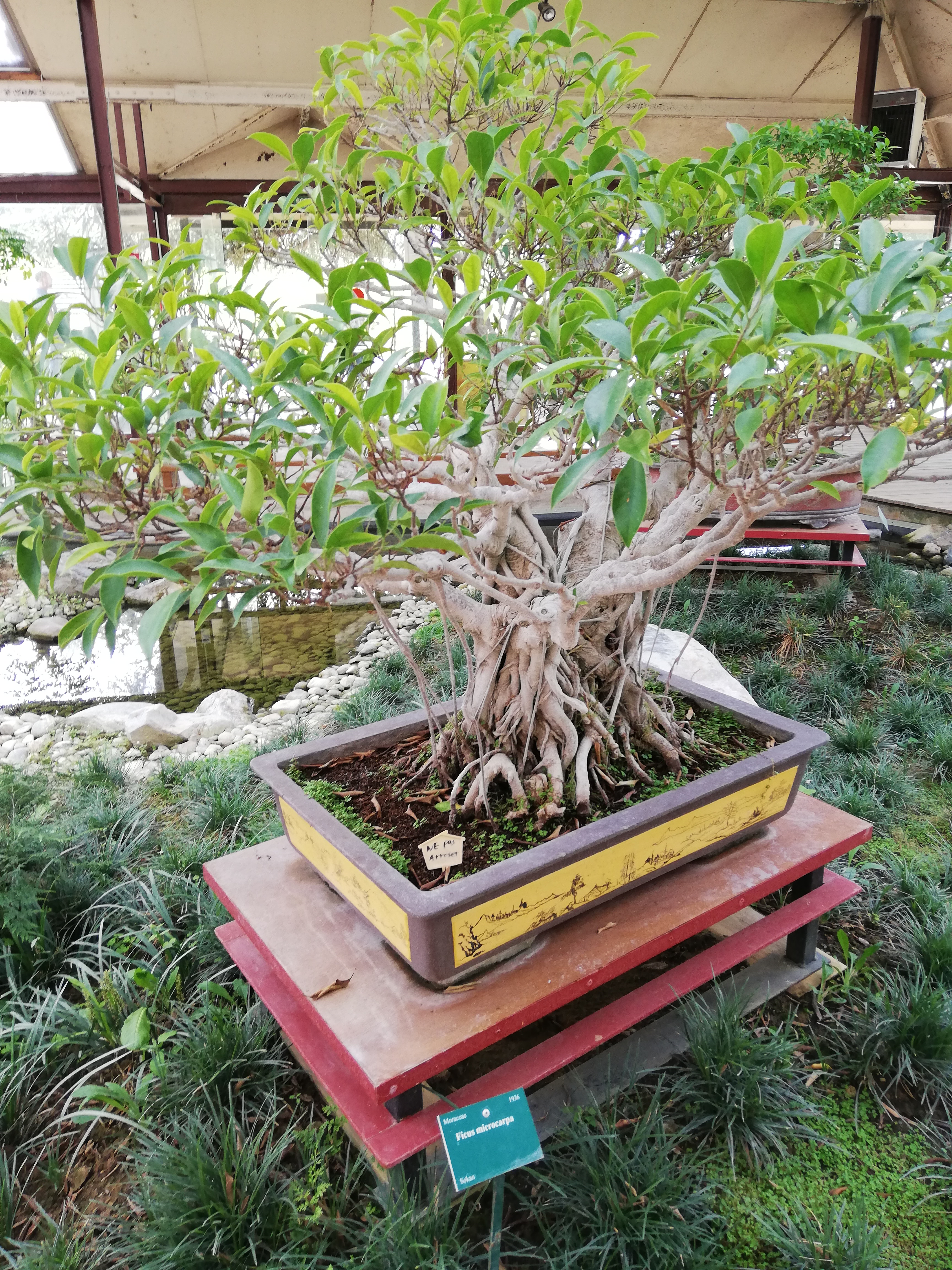 Photo n° 16 de l'avis de Samia.e fait le 16/08/2020 à 16:39