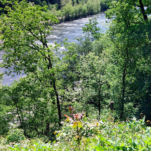 Tourist Attraction «French Broad Overlook», reviews and photos, 3938 Blue Ridge Pkwy, Arden, NC 28704, USA