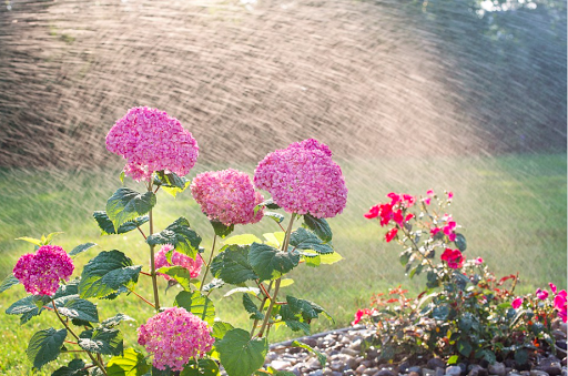 Green Thumb Lighting & Irrigation