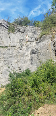 Falaise de Culles-les-Roches à Culles-les-Roches