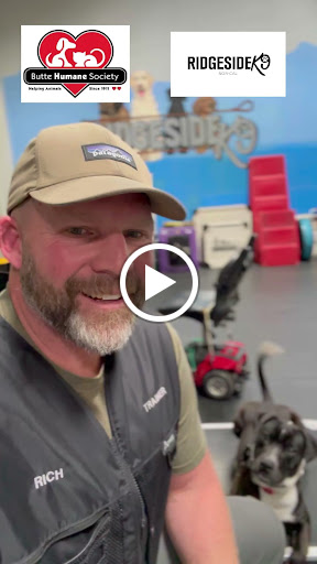 Ridgeside K9 NorCal Dog Training image