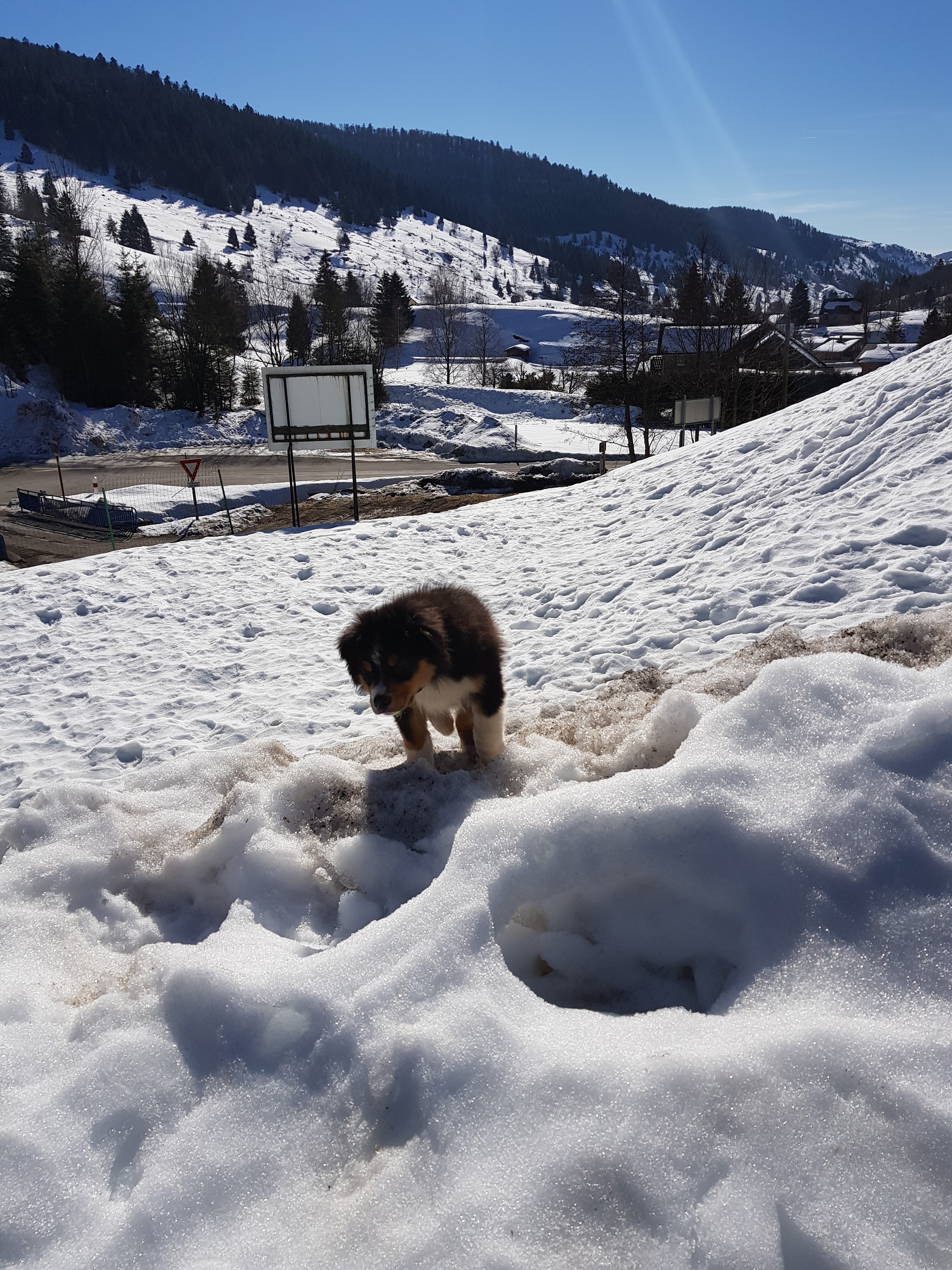 Photo n° 1 de l'avis de cyril.e fait le 04/03/2019 à 05:49