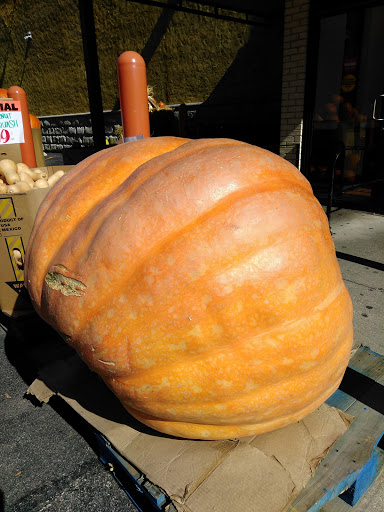 Produce Market «Morse Fresh Market», reviews and photos, 1430 W Morse Ave, Chicago, IL 60626, USA