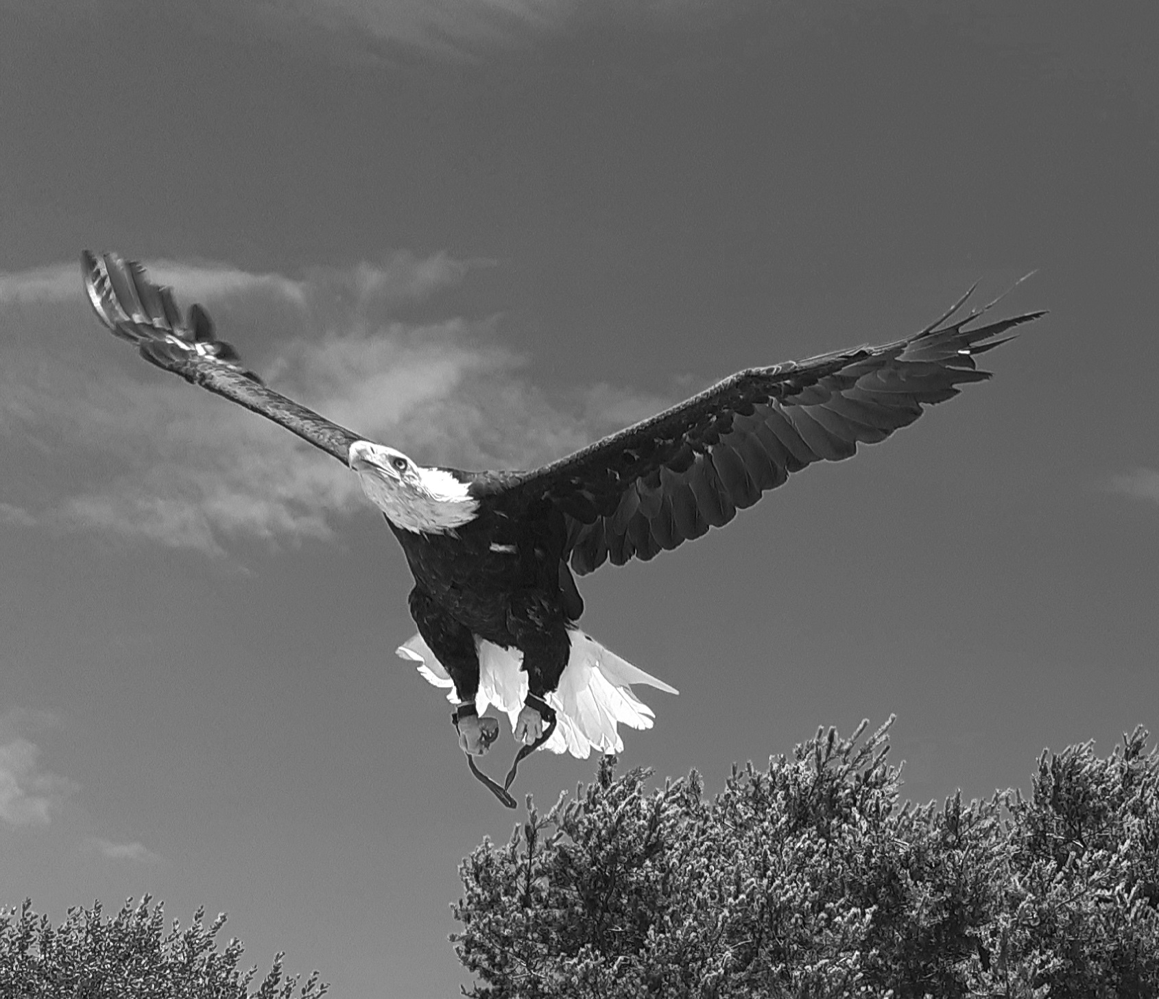 Photo n° 2 de l'avis de Pink.i fait le 06/09/2021 à 16:33