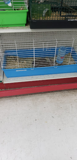 Shopping Mall «Hampton Plaza Shopping Center», reviews and photos, 4033 W Mercury Blvd, Hampton, VA 23666, USA