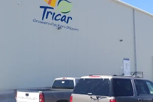 Tricar Sales Warehouse image