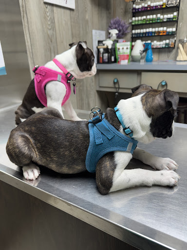 Big Ridge Veterinary Hospital image