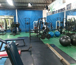 Hippos gym photo
