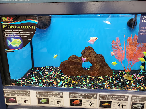 Pet Supply Store «Petco Animal Supplies», reviews and photos, 2500 Imperial Hwy #114, Brea, CA 92821, USA