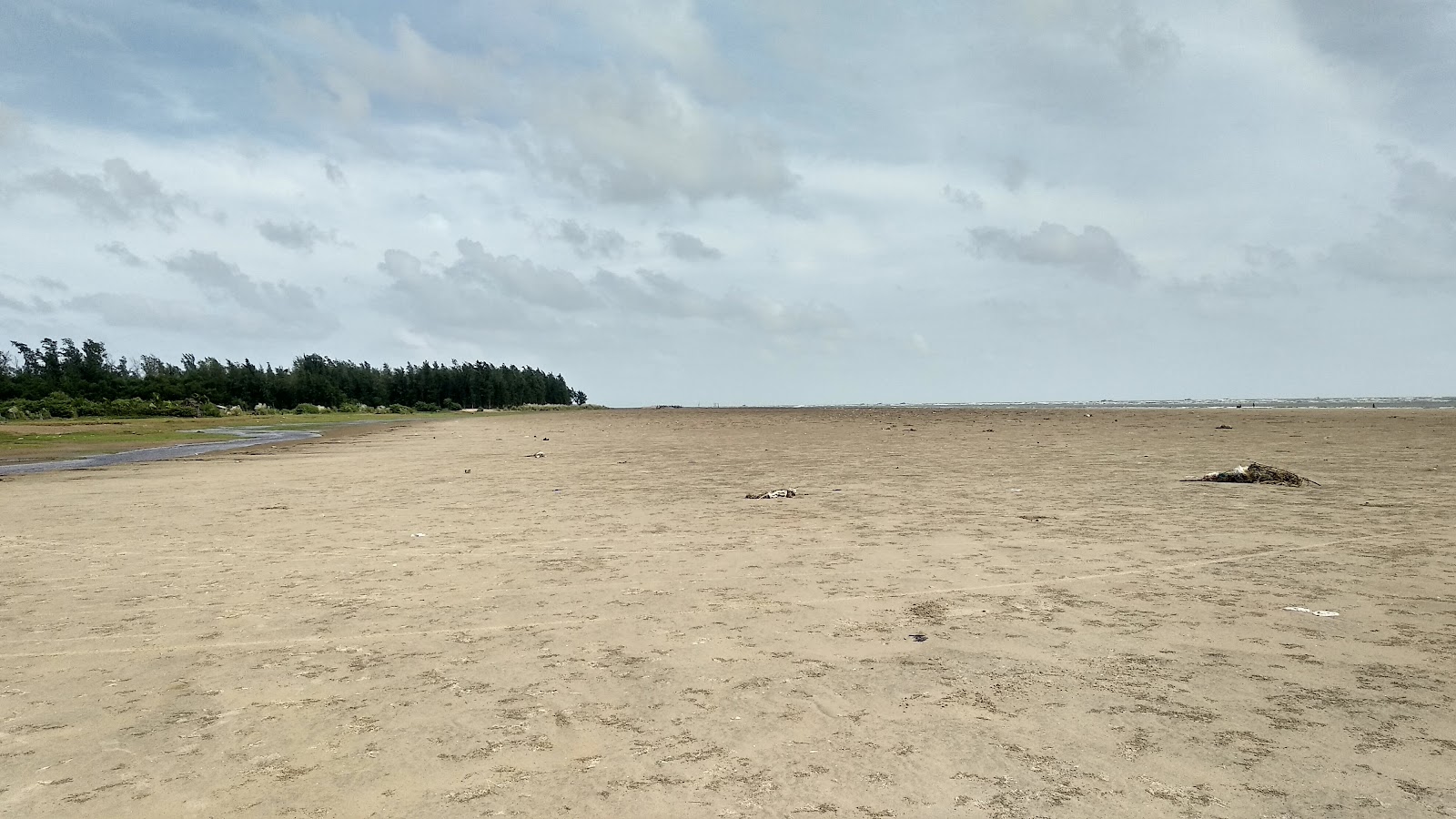 Boguran Jalpai Sea Beach的照片 具有非常干净级别的清洁度
