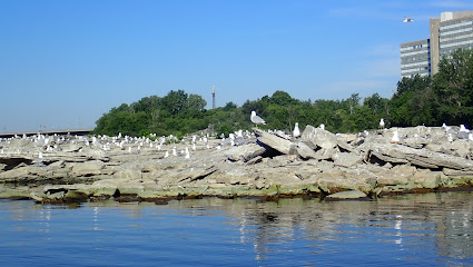 Gull Island