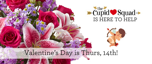 Florist «1-800-Flowers | Flowerama Windsor Heights», reviews and photos, 7301 University Ave, Windsor Heights, IA 50324, USA