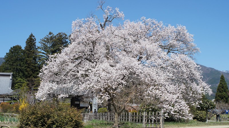 松源寺