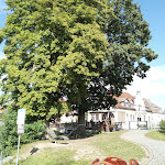 Photo n°1 de l'avis de Tanja.r fait le 07/09/2021 à 19:38 sur le  Culture Gasthof Alte Reederei à Fürstenberg/Havel