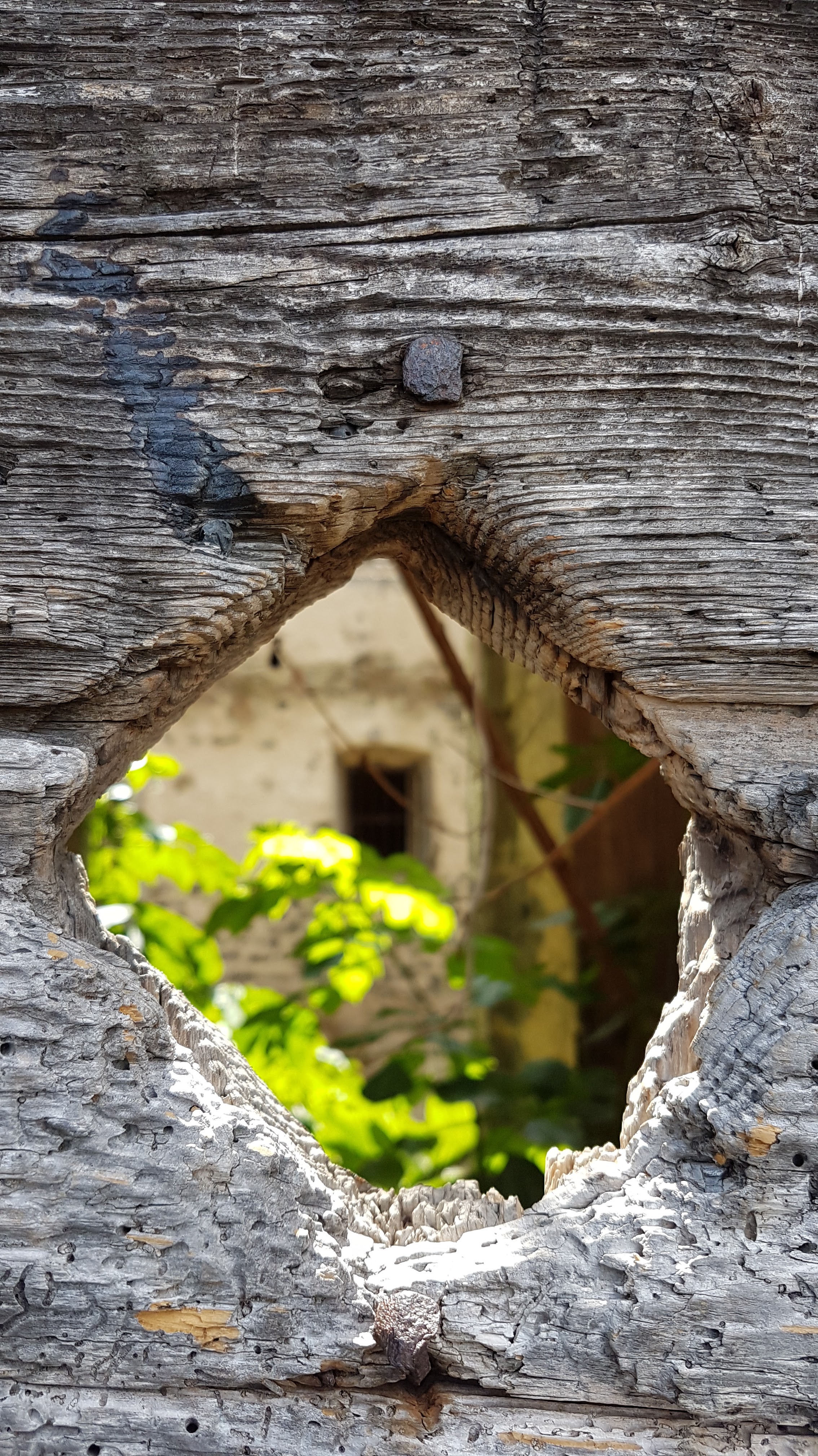 Photo n° 4 de l'avis de Olivier.o fait le 07/10/2019 à 23:12
