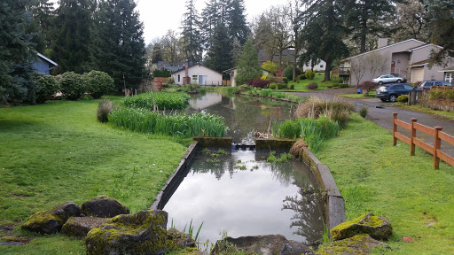 Park «Risley Park», reviews and photos, 2350 SE Swain Ave, Milwaukie, OR 97267, USA