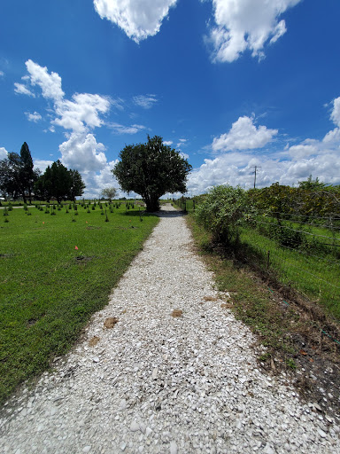 Winery «Bunker Hill Vineyard & Winery», reviews and photos, Bunker Hill Rd, Parrish, FL 34219, USA