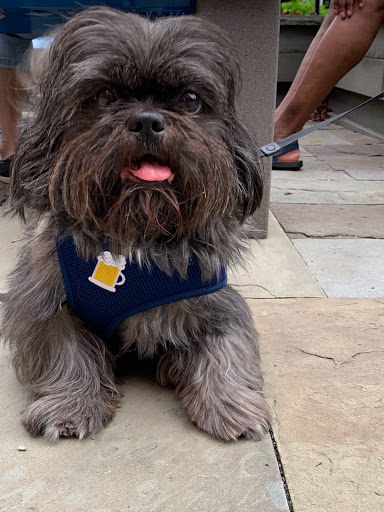 Pet Supply Store «PetSmart», reviews and photos, 2000 Clements Bridge Rd, Woodbury, NJ 08096, USA