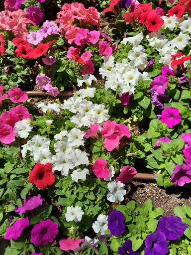 Park «Burnett Park», reviews and photos, 501 W 7th St, Fort Worth, TX 76102, USA