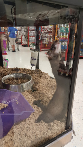 Pet Supply Store «Petco Animal Supplies», reviews and photos, 13127 N Dale Mabry Hwy, Tampa, FL 33618, USA