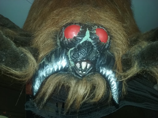 Hobby Store «The Hobbit Hole», reviews and photos, 3805 Jodeco Rd, McDonough, GA 30253, USA