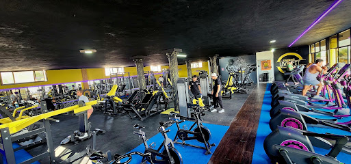 GIMNASIO LIVE FIT CASTILLOS