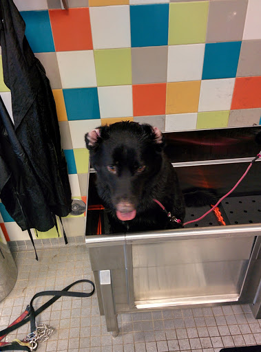 Pet Supply Store «Unleashed by Petco», reviews and photos, 1402 Wilshire Blvd, Santa Monica, CA 90403, USA