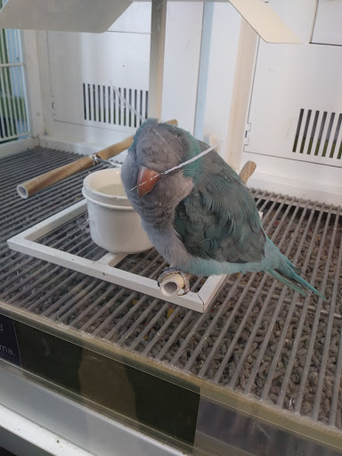 Pet Supply Store «Petco Animal Supplies», reviews and photos, 205 Washington St #11, Hudson, MA 01749, USA