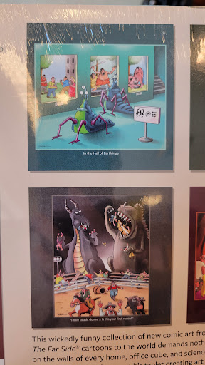 Book Store «Barnes & Noble», reviews and photos, 8117 Sudley Rd, Manassas, VA 20109, USA