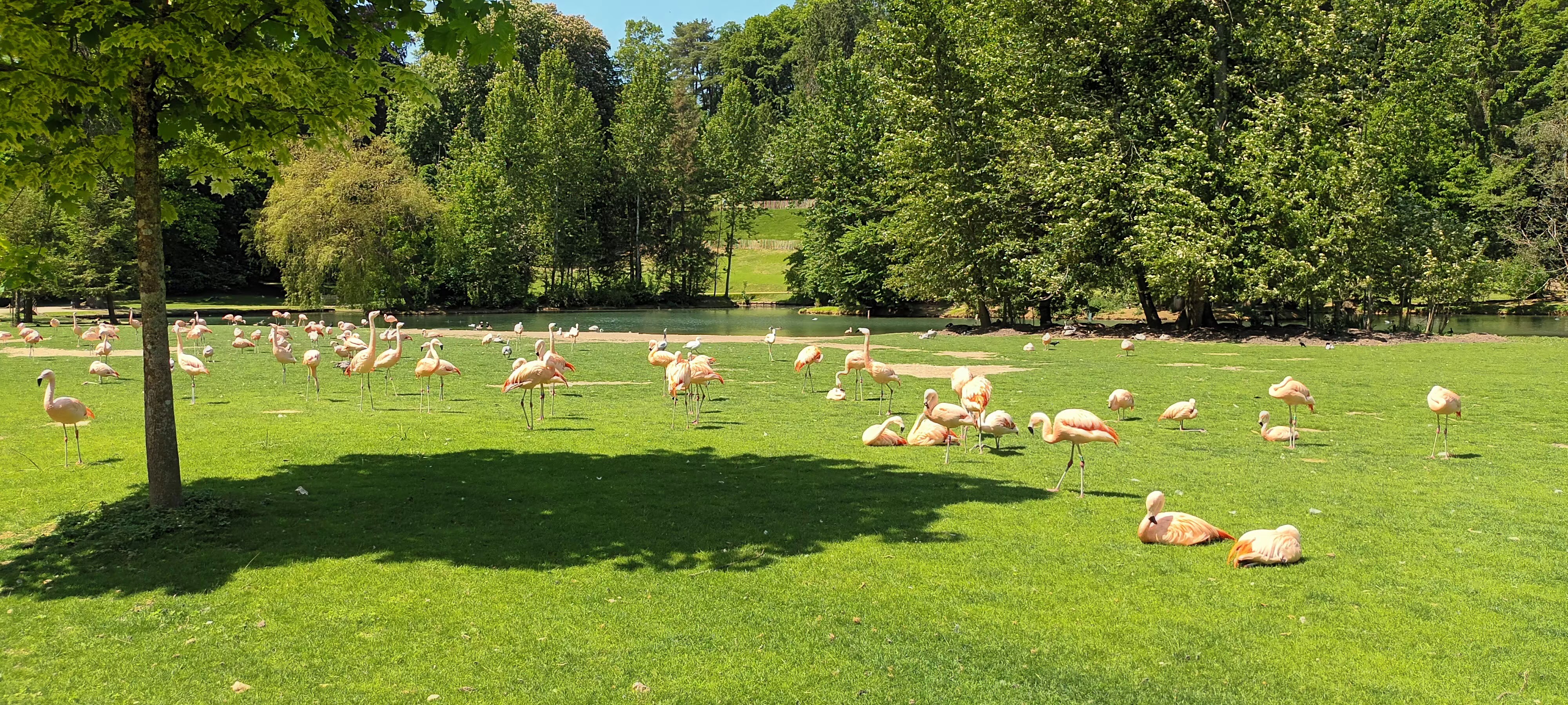 Photo n° 3 de l'avis de Veldeman.a fait le 27/05/2023 à 14:26