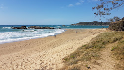 Foto von Opal Cove Beach mit lange, gerade küste
