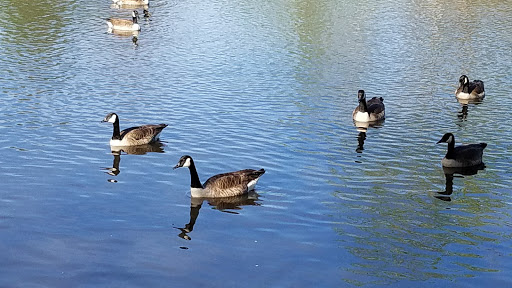 Park «Lenora Park», reviews and photos, 4515 Lenora Church Rd, Snellville, GA 30039, USA