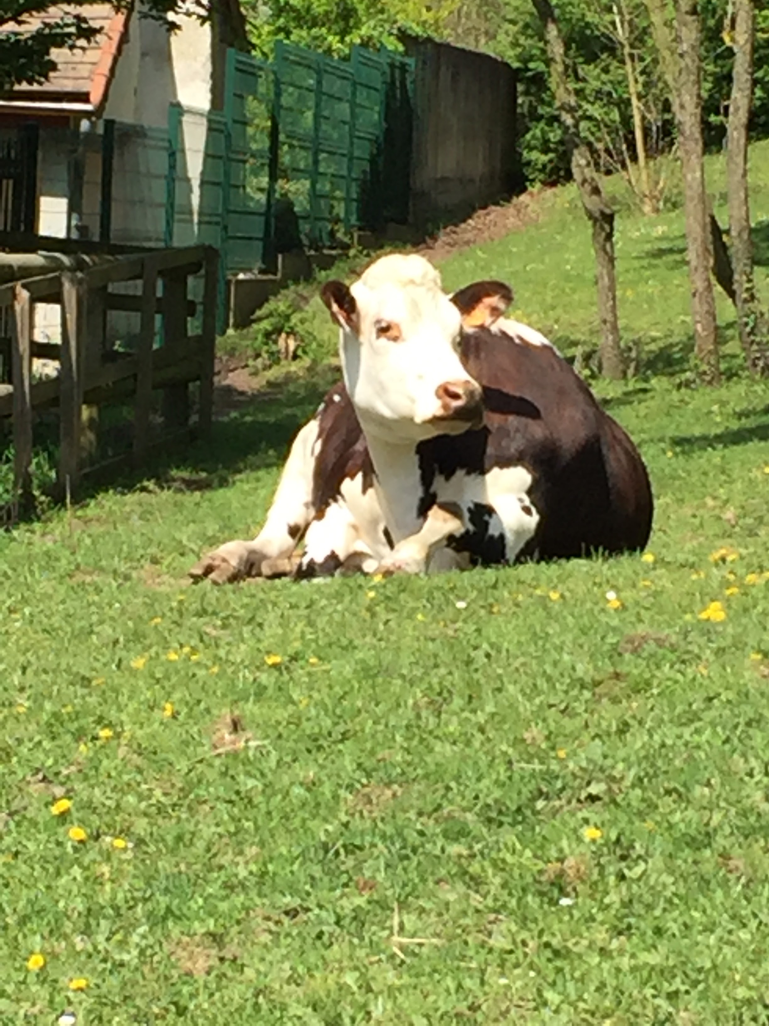 Photo n° 2 de l'avis de lou.o fait le 21/04/2018 à 14:21