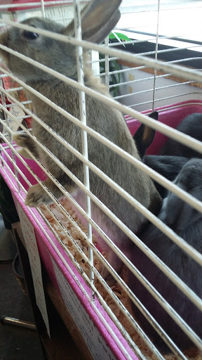 Pets A Plenty, 3925 NY-281, Cortland, NY 13045, USA, 