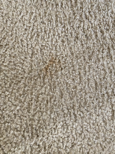 Real Estate Agency «Haymore Real Estate LLC», reviews and photos, 500 E Fry Blvd, Sierra Vista, AZ 85635, USA