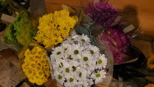 Supermarket «Publix Super Market at Hollybrook Plaza», reviews and photos, 5400 Bruce B Downs Blvd, Wesley Chapel, FL 33544, USA