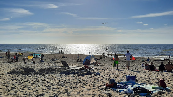 Ecomare beach