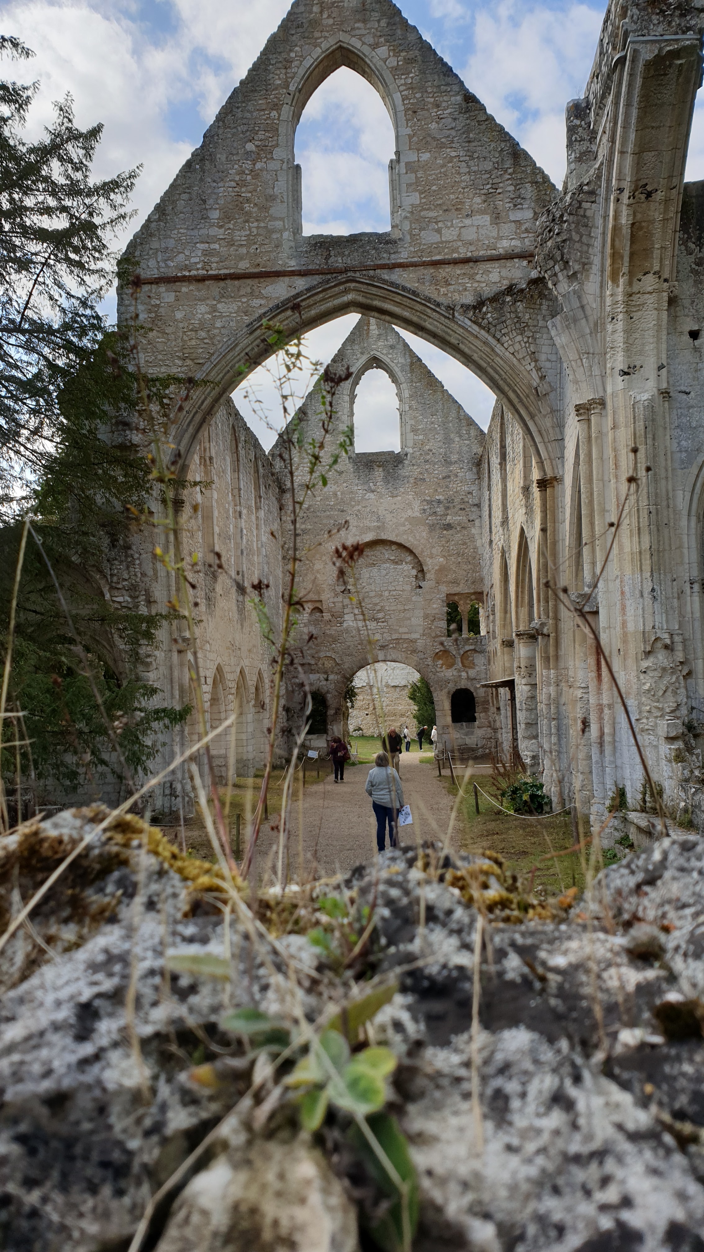 Photo n° 14 de l'avis de Jolivet.h fait le 28/09/2019 à 17:12