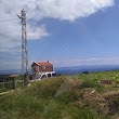 Yayla Köyü Cami