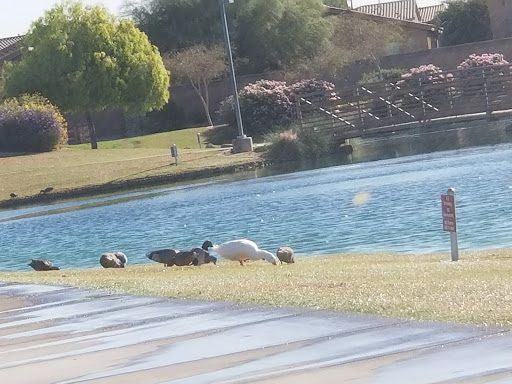 Park «Trailside Point Park», reviews and photos, 7215 W Vineyard Rd, Laveen Village, AZ 85339, USA