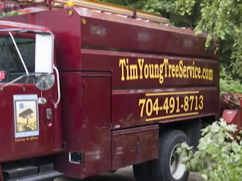 Tim Young Tree Service