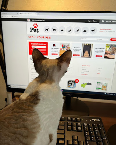 Pet.co.nz - Online Pet Store