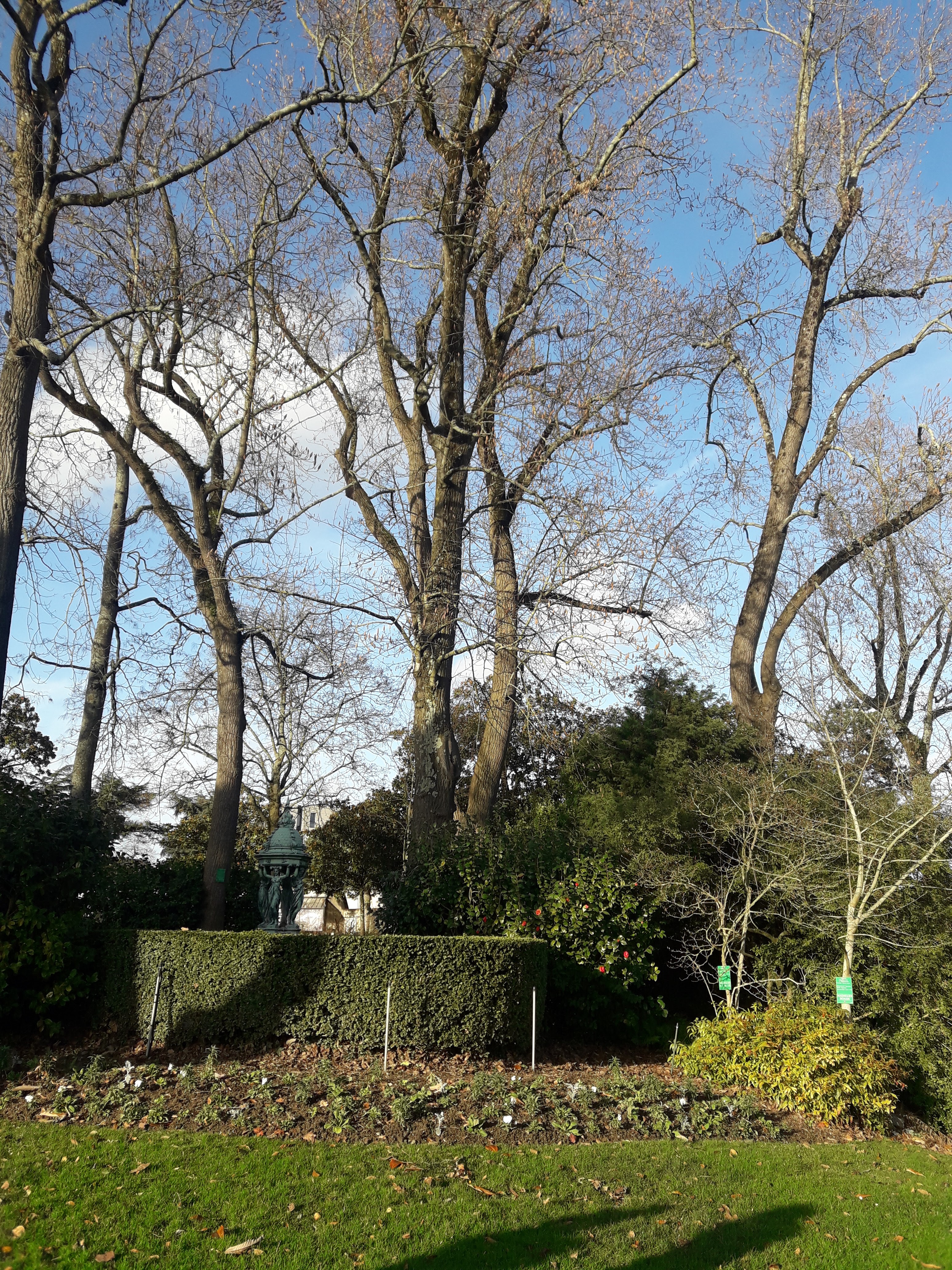 Photo n° 21 de l'avis de Barencourt.e fait le 15/12/2019 à 18:39