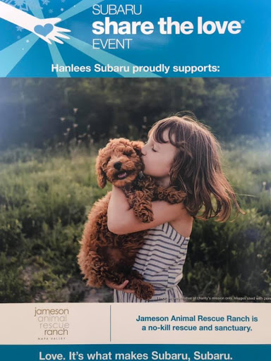 Car Dealer «Hanlees Napa Subaru», reviews and photos, 495 Soscol Ave #10, Napa, CA 94559, USA