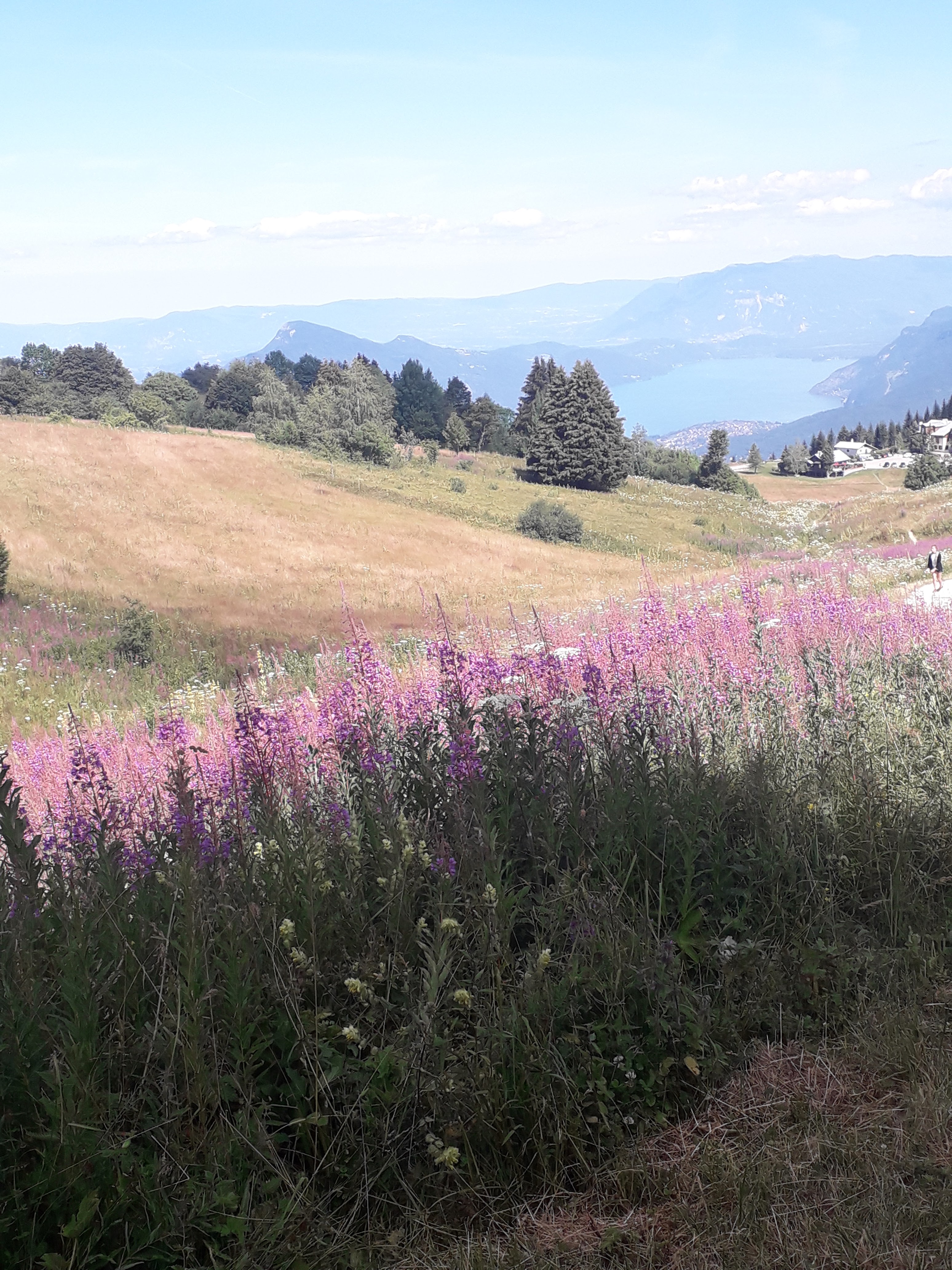 Photo n° 5 de l'avis de Aurore.E fait le 26/07/2020 à 10:20