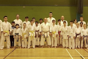 Portsmouth HDKI Karate Club image