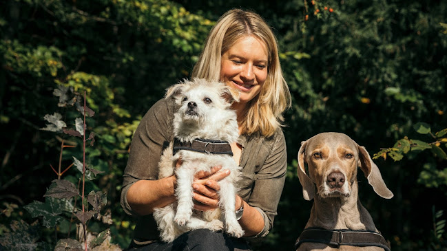 Hundeschule Animalcoach Zürich