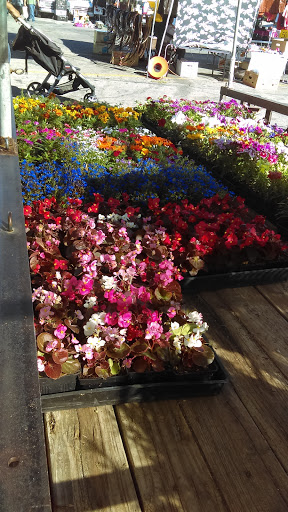 Flea Market «The Roadium Open Air Market», reviews and photos, 2500 W Redondo Beach Blvd, Torrance, CA 90504, USA