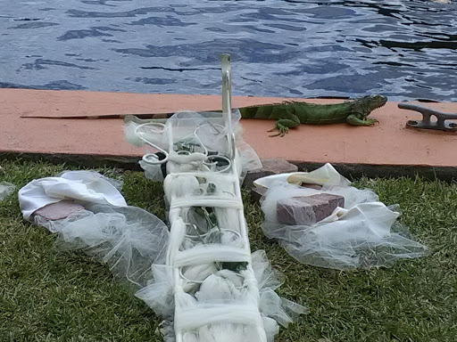 Event Venue «The Historic Needham Estate», reviews and photos, 828 SE 4th St, Fort Lauderdale, FL 33301, USA