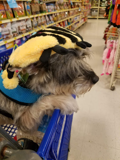 Pet Supply Store «PetSmart», reviews and photos, 6019 Wade Hampton Blvd, Taylors, SC 29687, USA